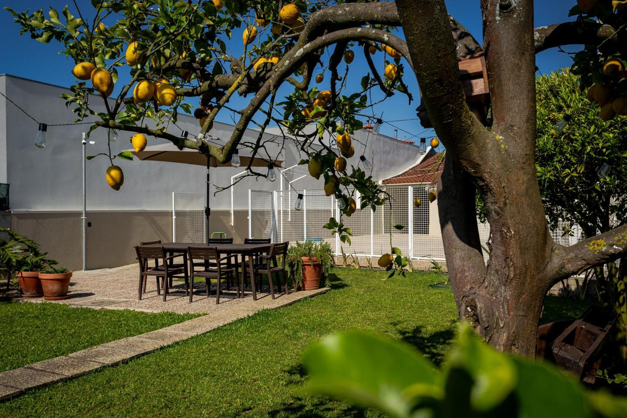 708 Mugnano House Aveleda Villa Vila do Conde Dış mekan fotoğraf